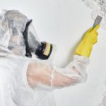 professional disinfector overalls processes walls from mold with spatula removal black fungus apartment house aspergillus (1) (fileminimizer)
