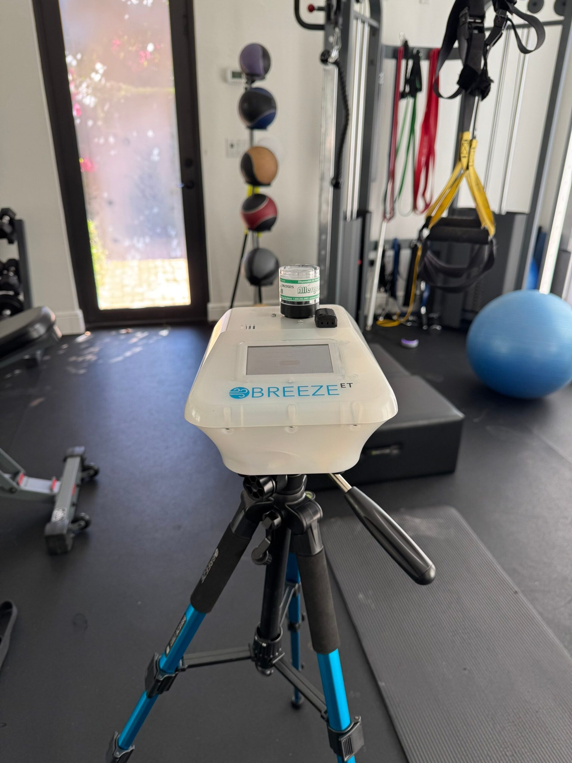 down net http20260318 244 b4flp6